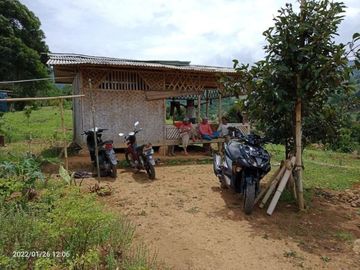 Murah Tanah Kebun Durian Pesona Bukit Madani Bogor