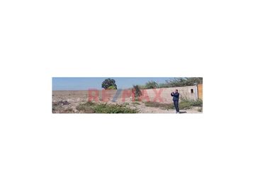 Amplio terreno de 6,070 m2
Totalmente cercado
Con pozo de agua propio
Ubicado en el sector Canyar Bajo, distrito de Alto Laran
Provincia de Chinch