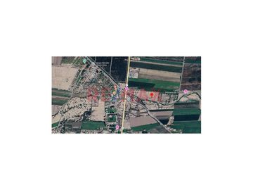 Amplio terreno de 6,070 m2
Totalmente cercado
Con pozo de agua propio
Ubicado en el sector Canyar Bajo, distrito de Alto Laran
Provincia de Chinch