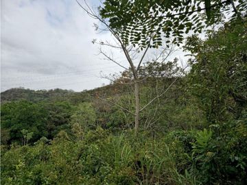 Se Vende Finca de 1.5 has en Lídice, Capira