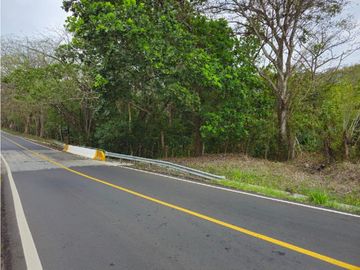 Se Vende Finca de 1.5 has en Lídice, Capira