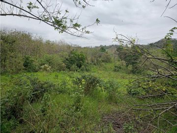 Se Vende Finca de 1.5 has en Lídice, Capira