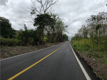 Se Vende Finca de 1.5 has en Lídice, Capira