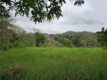 Se Vende Finca de 1.5 has en Lídice, Capira