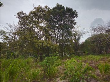 Se Vende Finca de 1.5 has en Lídice, Capira