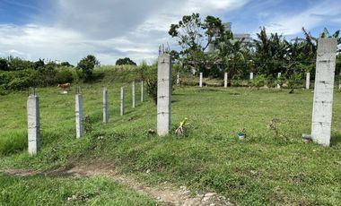 For Lease! 2 Lots (780 sqm and 804 sqm) in Tagaytay City near Mushroom Burger