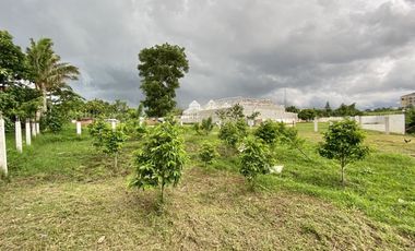 For Lease! 2 Lots (780 sqm and 804 sqm) in Tagaytay City near Mushroom Burger