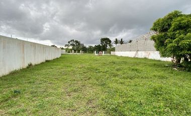 For Lease! 2 Lots (780 sqm and 804 sqm) in Tagaytay City near Mushroom Burger