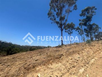 Parcela en venta en Navidad. Rol Propio Matanza Rapel