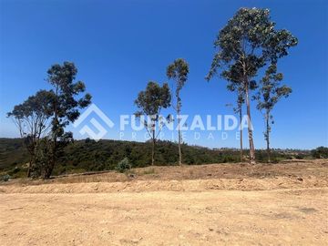 Parcela en venta en Navidad. Rol Propio Matanza Rapel