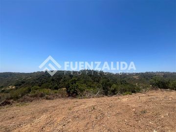 Parcela en venta en Navidad. Rol Propio Matanza Rapel