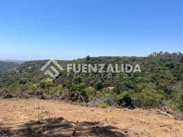 Parcela en venta en Navidad. Rol Propio Matanza Rapel