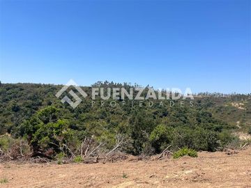 Parcela en venta en Navidad. Rol Propio Matanza Rapel