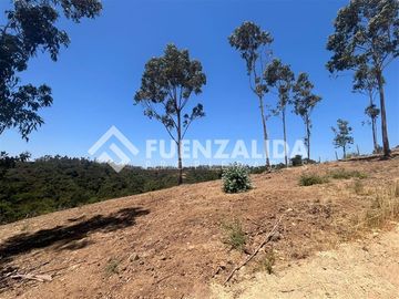 Parcela en venta en Navidad. Rol Propio Matanza Rapel
