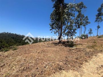 Parcela en venta en Navidad. Rol Propio Matanza Rapel