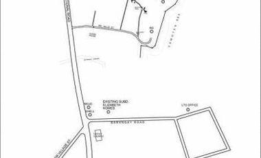 Single Detached House for Sale in Danao - Elizabeth Homes