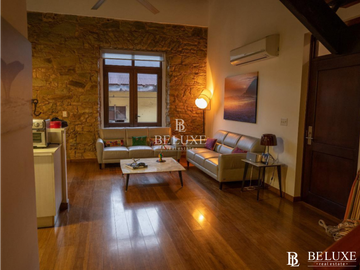 VENDO APARTAMENTO TIPO LOFT EN CASCO ANTIGUO (2)