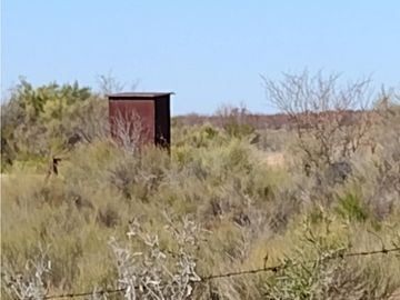 VENDO FINCA EN BLANCO DE 64 HECTAREAS EN SAN RAFAEL MENDOZA