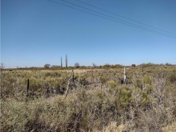 VENDO FINCA EN BLANCO DE 64 HECTAREAS EN SAN RAFAEL MENDOZA