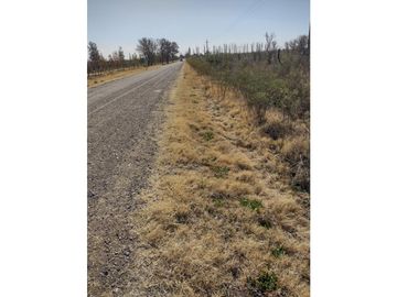 VENDO FINCA EN BLANCO DE 64 HECTAREAS EN SAN RAFAEL MENDOZA