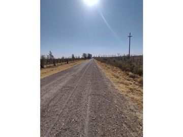 VENDO FINCA EN BLANCO DE 64 HECTAREAS EN SAN RAFAEL MENDOZA