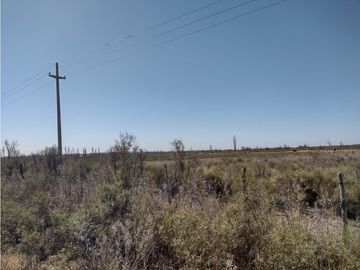 VENDO FINCA EN BLANCO DE 64 HECTAREAS EN SAN RAFAEL MENDOZA