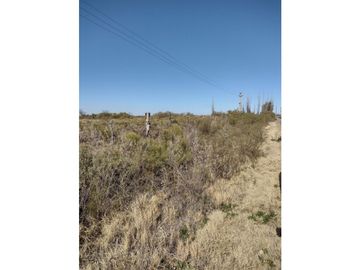 VENDO FINCA EN BLANCO DE 64 HECTAREAS EN SAN RAFAEL MENDOZA