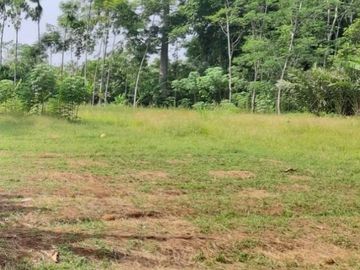 Cheap Land for Sale 7 Ha in Batujajar West Bandung City
