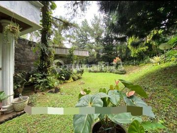 Rumah di Jl. Pajajaran Dijual