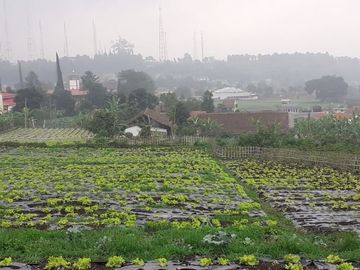 HUnian Murah Dan baru di Cisarua Bandung barat