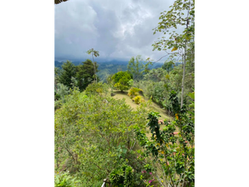 Venta Casa Campestre Salento, Quindío - Colombia COD: 6876219