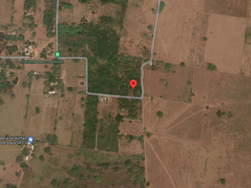 HECTAREAS EN VENTA PARA USO AGRICOLA EN MEDELLIN I ARLETTE FLORES
