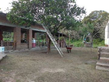HECTAREAS EN VENTA PARA USO AGRICOLA EN MEDELLIN I ARLETTE FLORES