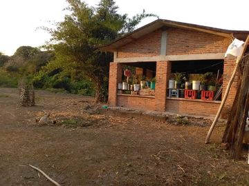 HECTAREAS EN VENTA PARA USO AGRICOLA EN MEDELLIN I ARLETTE FLORES