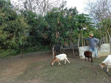 HECTAREAS EN VENTA PARA USO AGRICOLA EN MEDELLIN I ARLETTE FLORES