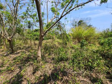 HECTAREAS EN VENTA PARA USO AGRICOLA EN MEDELLIN I ARLETTE FLORES