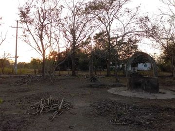 HECTAREAS EN VENTA PARA USO AGRICOLA EN MEDELLIN I ARLETTE FLORES