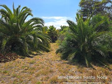 Terreno Urbano 5.735 m a 1 cuadra Av. del Mar, La Serena
