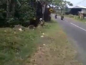 DIJUAL TANAH di Kepuharjo Karangploso