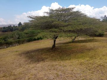 Vendo  lindo terreno ubicado en Urbanización a 15 minutos de Guayllabamba