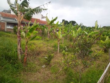 152 Tumbak Tanah Kebun Pinggir Jalan, Strategis Komersil, Ngamprah, Bandung Barat