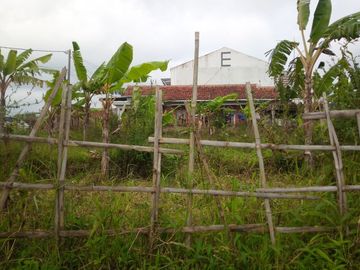 152 Tumbak Tanah Kebun Pinggir Jalan, Strategis Komersil, Ngamprah, Bandung Barat