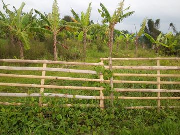 152 Tumbak Tanah Kebun Pinggir Jalan, Strategis Komersil, Ngamprah, Bandung Barat