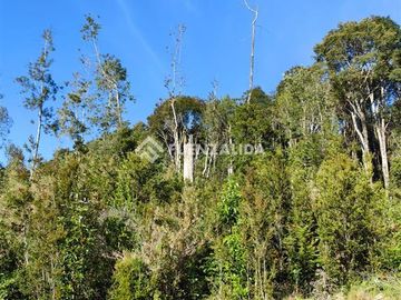 Parcela en venta en Altos de Lauca de Puerto Montt