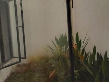 Rumah minimalis dalam cluster akses jalan 2 mobil