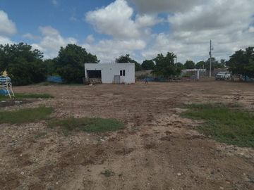 EMPAQUE AGRICOLA EN VENTA EN ANGOSTURA, SINALOA