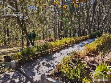 RANCHO EL JARDÍN 32.5 Ha COLINDA CON PEÑAS CARGADAS IDEAL PARA CREAR PARQUE ECO