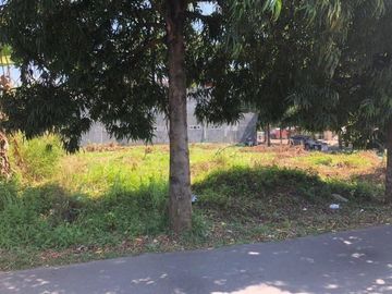Tanah Strategis Depan UNDIP Semarang Cocok Untuk Kost2an