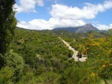 Parcela en Venta en Oasis la Campana