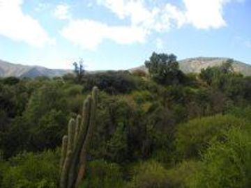 Parcela en Venta en Oasis la Campana